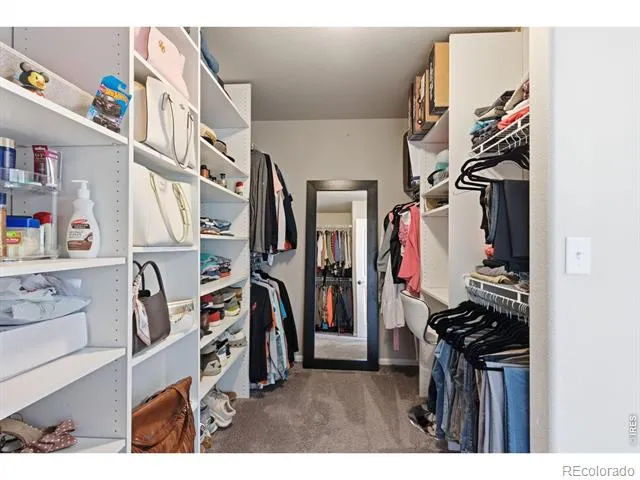 385 Littlebrook Court Windsor, CO 80550