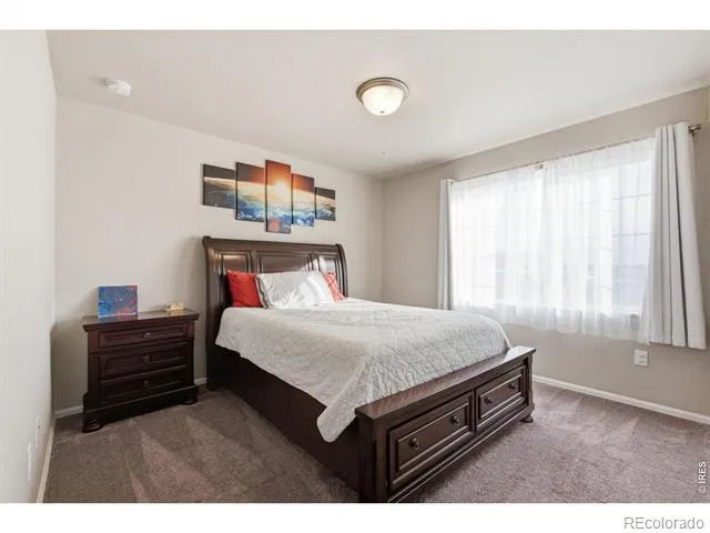 385 Littlebrook Court Windsor, CO 80550