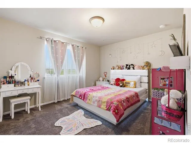 385 Littlebrook Court Windsor, CO 80550