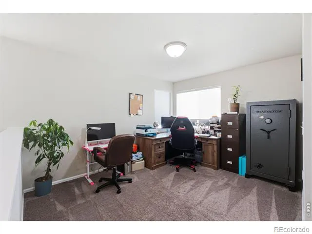 385 Littlebrook Court Windsor, CO 80550