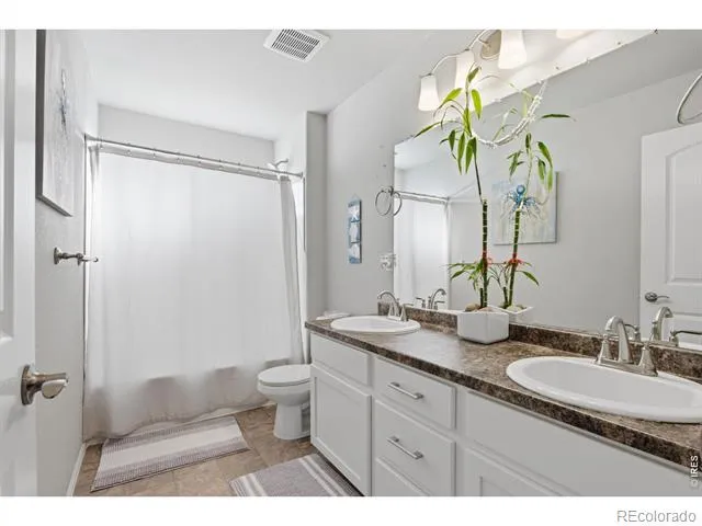 385 Littlebrook Court Windsor, CO 80550