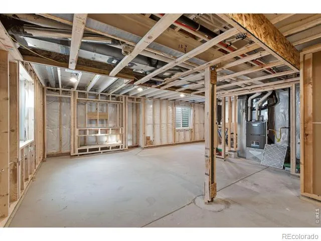 385 Littlebrook Court Windsor, CO 80550
