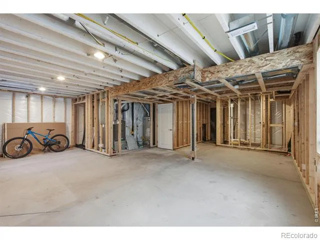 385 Littlebrook Court Windsor, CO 80550