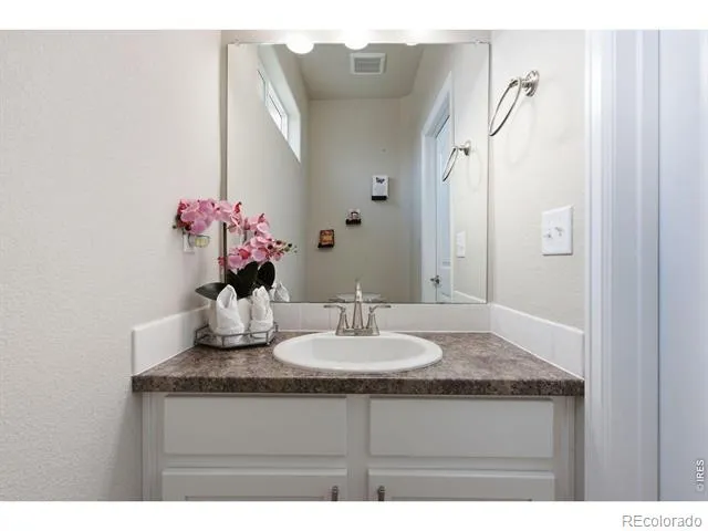 385 Littlebrook Court Windsor, CO 80550