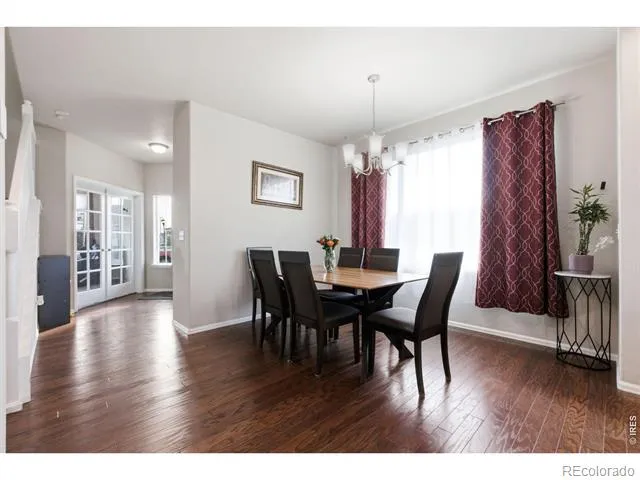 385 Littlebrook Court Windsor, CO 80550
