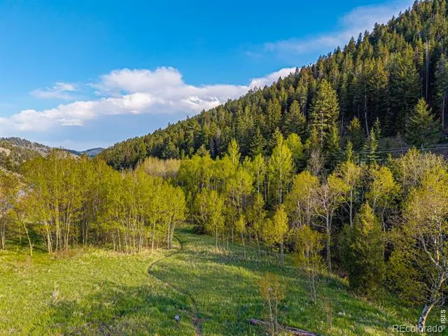 5896 Peregrine Trail Golden, CO 80403