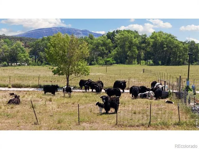 54 Rist View Road Bellvue, CO 80512
