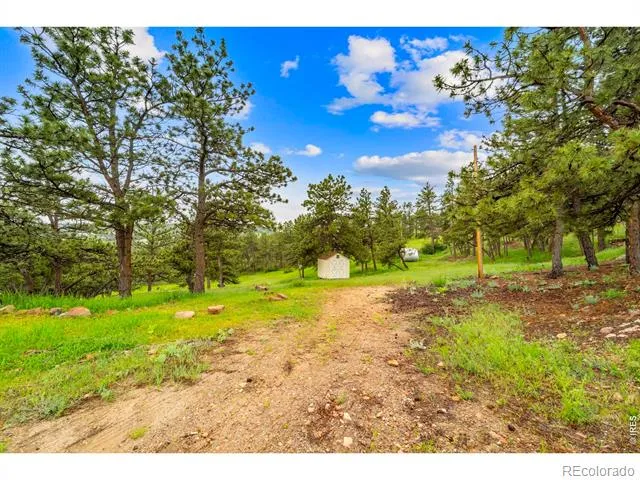 3204 Indian Blind Trail Loveland, CO 80537