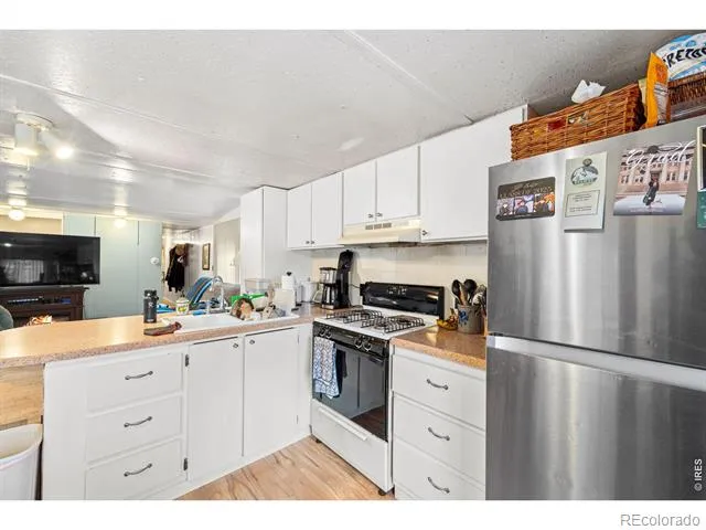 3204 Indian Blind Trail Loveland, CO 80537