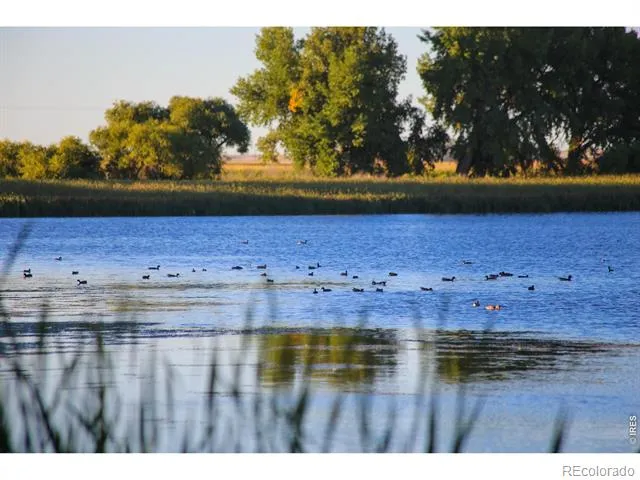 18691 County Road 80 1/2 Ault, CO 80610