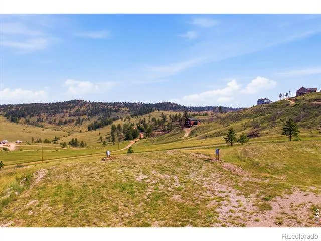 968 Turkey Roost Drive Livermore, CO 80536