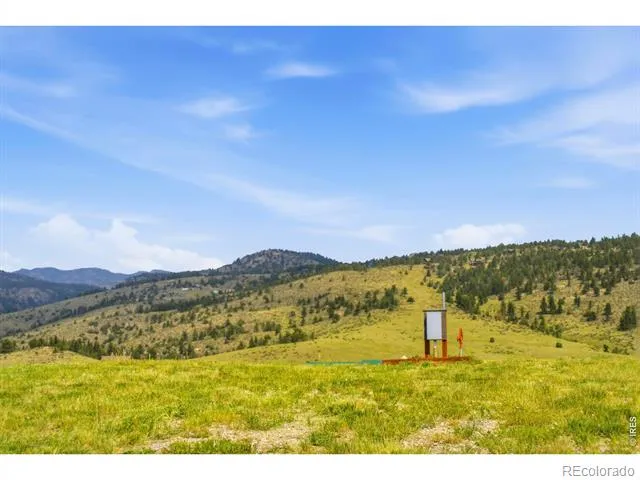 968 Turkey Roost Drive Livermore, CO 80536