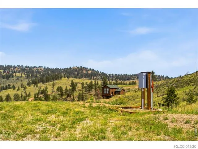 968 Turkey Roost Drive Livermore, CO 80536