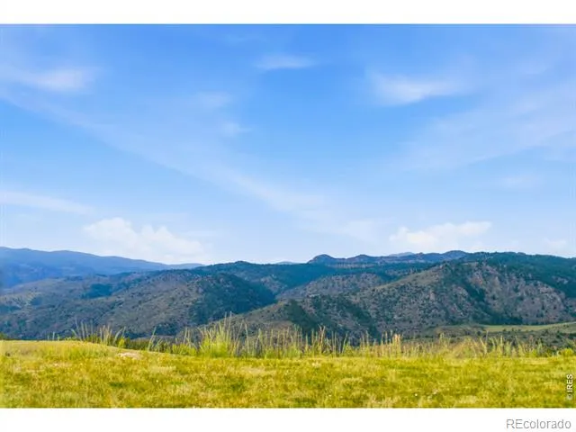 968 Turkey Roost Drive Livermore, CO 80536