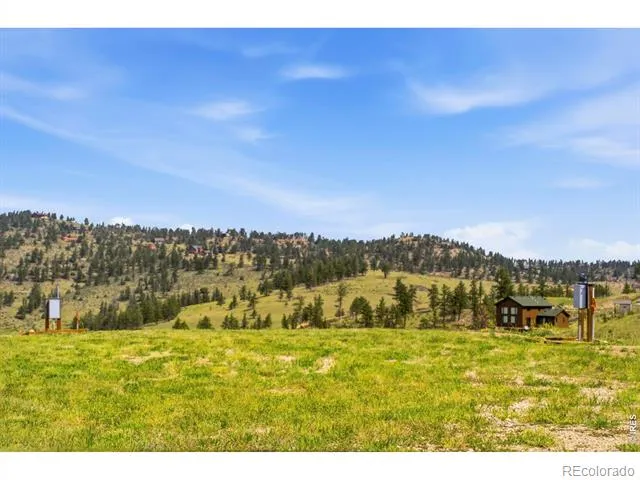968 Turkey Roost Drive Livermore, CO 80536