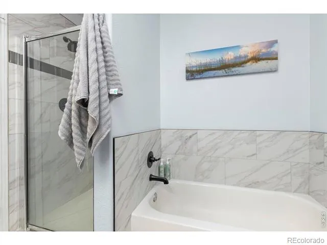 312 Rock Bridge Drive Windsor, CO 80550