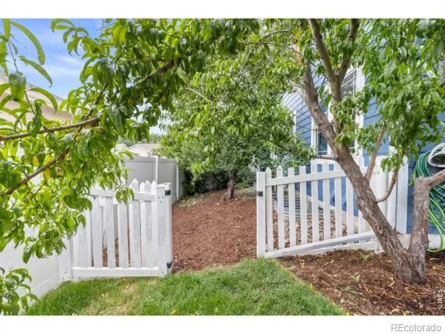312 Rock Bridge Drive Windsor, CO 80550