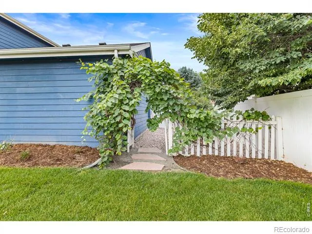 312 Rock Bridge Drive Windsor, CO 80550
