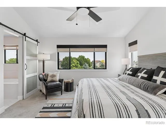 647 Red Jewel Drive Windsor, CO 80550