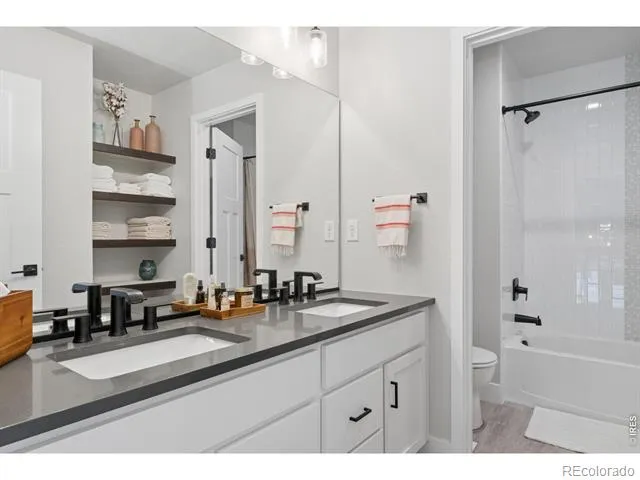 647 Red Jewel Drive Windsor, CO 80550