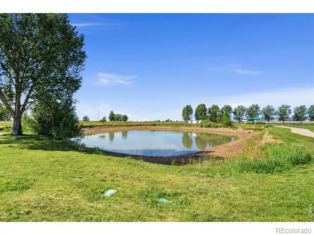 4101 Crittenton Lane #102 Wellington, CO 80549