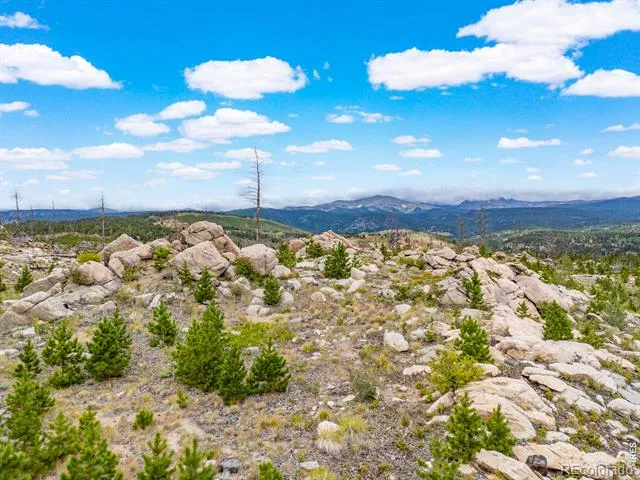 2607 Ridge Road Nederland, CO 80466