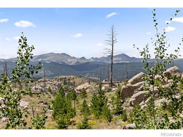 2607 Ridge Road Nederland, CO 80466