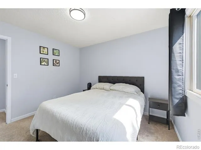 3206 Lymen Street Fort Collins, CO 80526