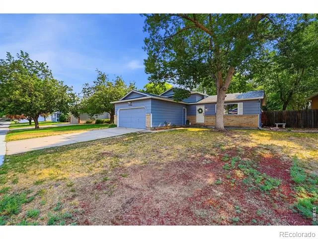 3206 Lymen Street Fort Collins, CO 80526