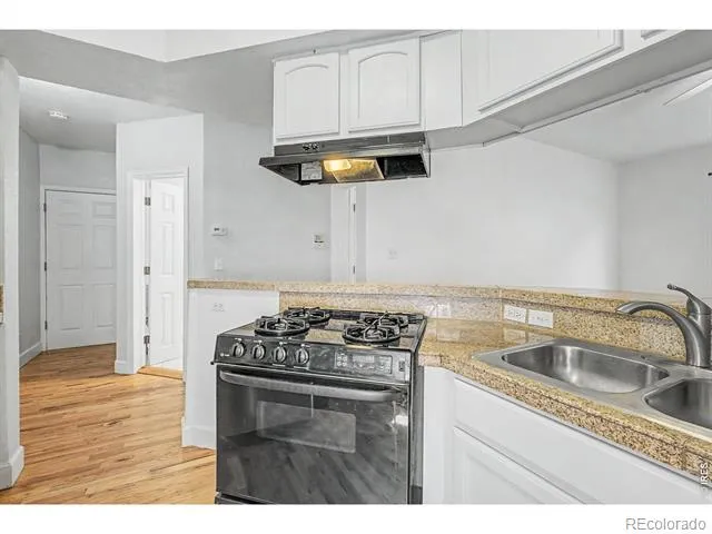 1629 Clarkson Street #11 Denver, CO 80218