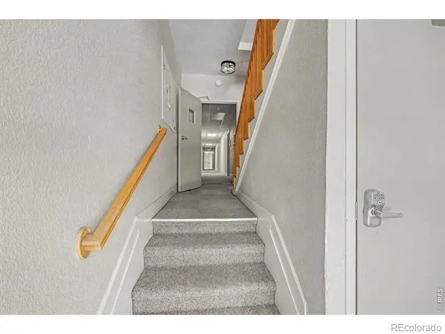 1629 Clarkson Street #11 Denver, CO 80218