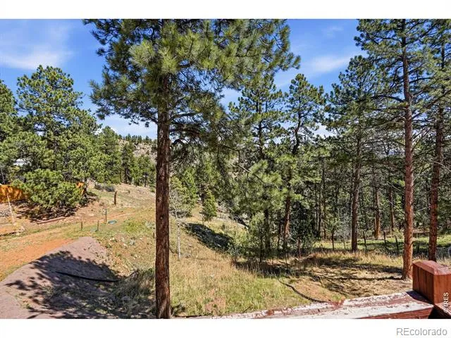 280 Bunny Road Bailey, CO 80421