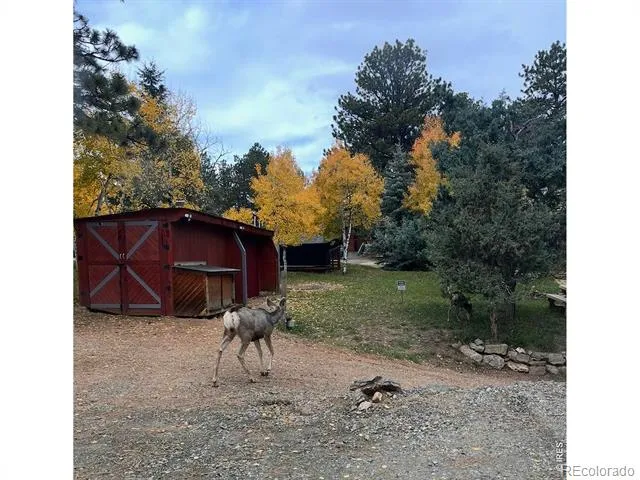 280 Bunny Road Bailey, CO 80421