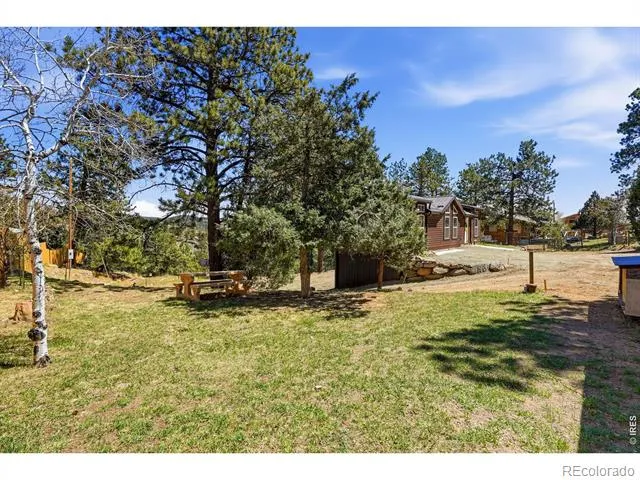 280 Bunny Road Bailey, CO 80421