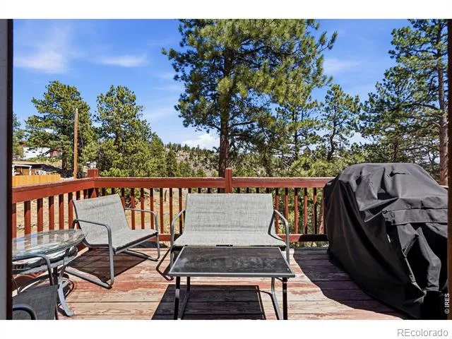 280 Bunny Road Bailey, CO 80421
