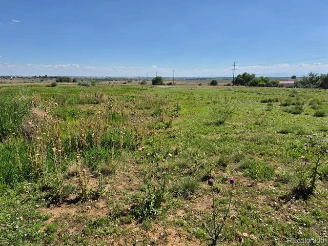 9140 County Road 54 Milliken, CO 80543