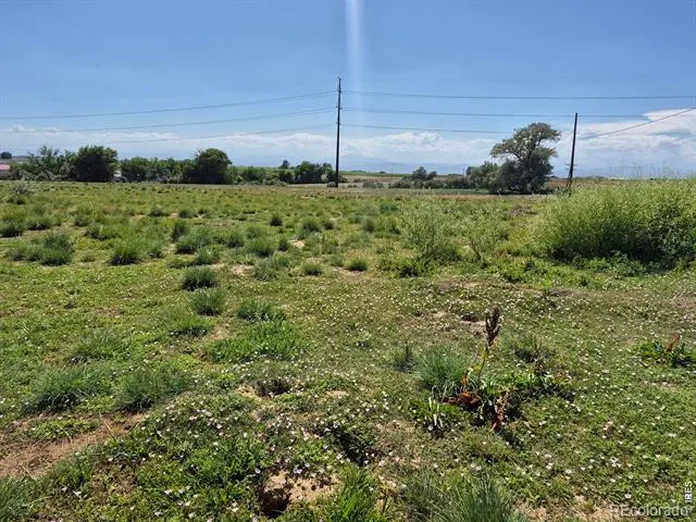 9140 County Road 54 Milliken, CO 80543