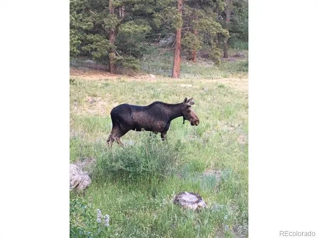 1820 Lazy Z Road #A Nederland, CO 80466