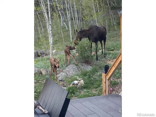 1820 Lazy Z Road #A Nederland, CO 80466