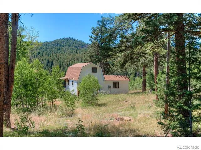 1820 Lazy Z Road #A Nederland, CO 80466