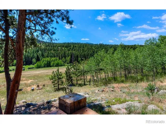 1820 Lazy Z Road #A Nederland, CO 80466