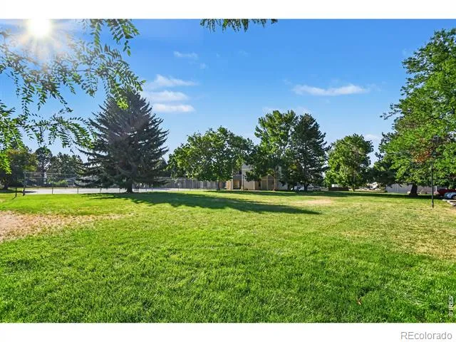 3400 Stanford Road #B238 Fort Collins, CO 80525
