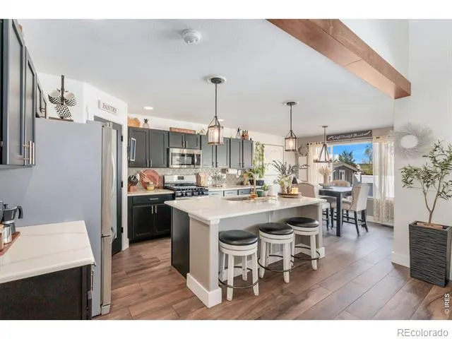 938 Scotch Pine Drive Severance, CO 80550