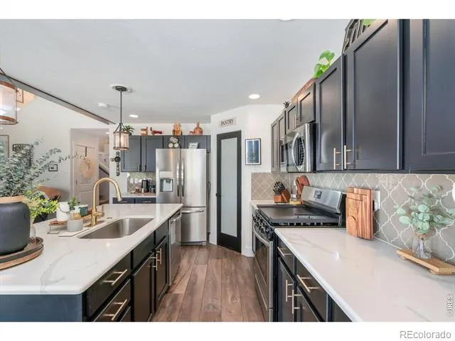 938 Scotch Pine Drive Severance, CO 80550