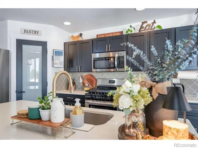 938 Scotch Pine Drive Severance, CO 80550