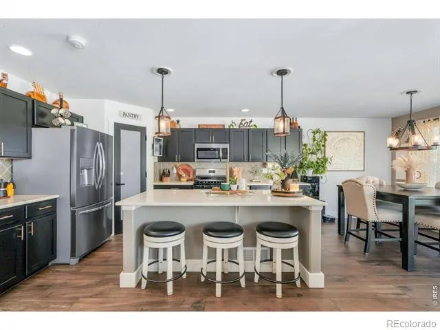 938 Scotch Pine Drive Severance, CO 80550