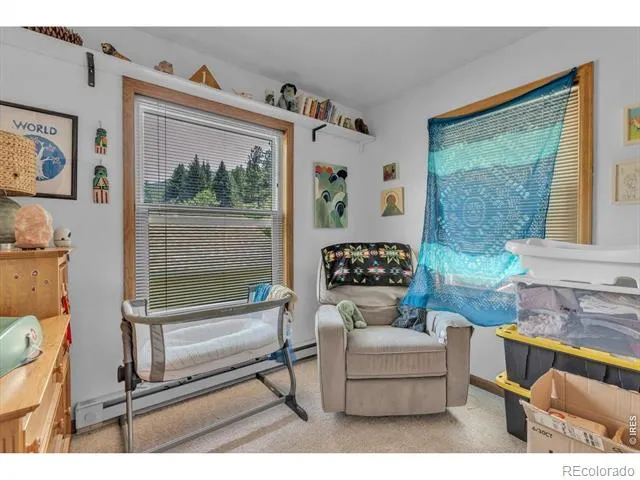35 Main Street Jamestown, CO 80455