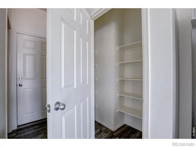 329 Jay Avenue Severance, CO 80546
