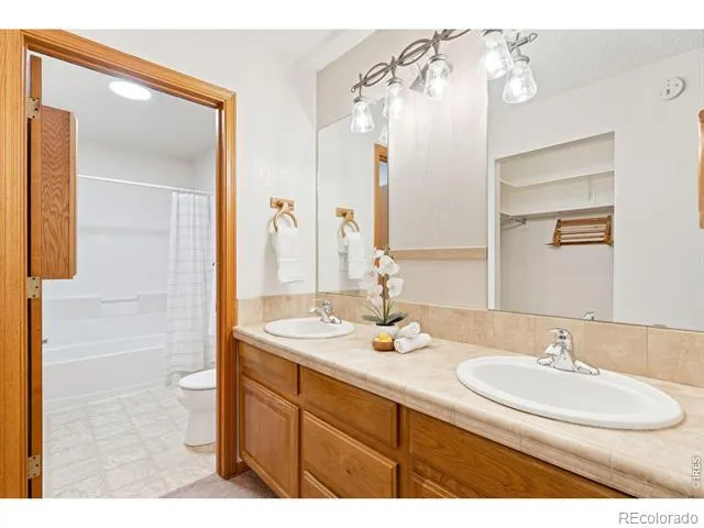 3842 Tradition Drive Fort Collins, CO 80526