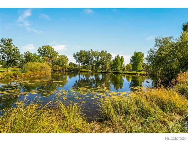 3842 Tradition Drive Fort Collins, CO 80526